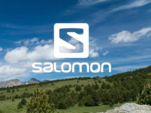 萨洛蒙logo设计含义及设计理念