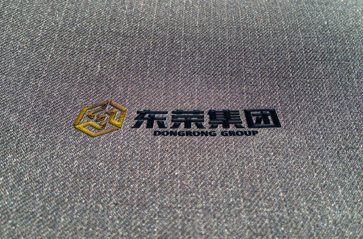 东荣集团logo设计展示