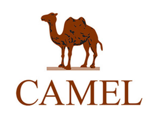 骆驼logo设计理念