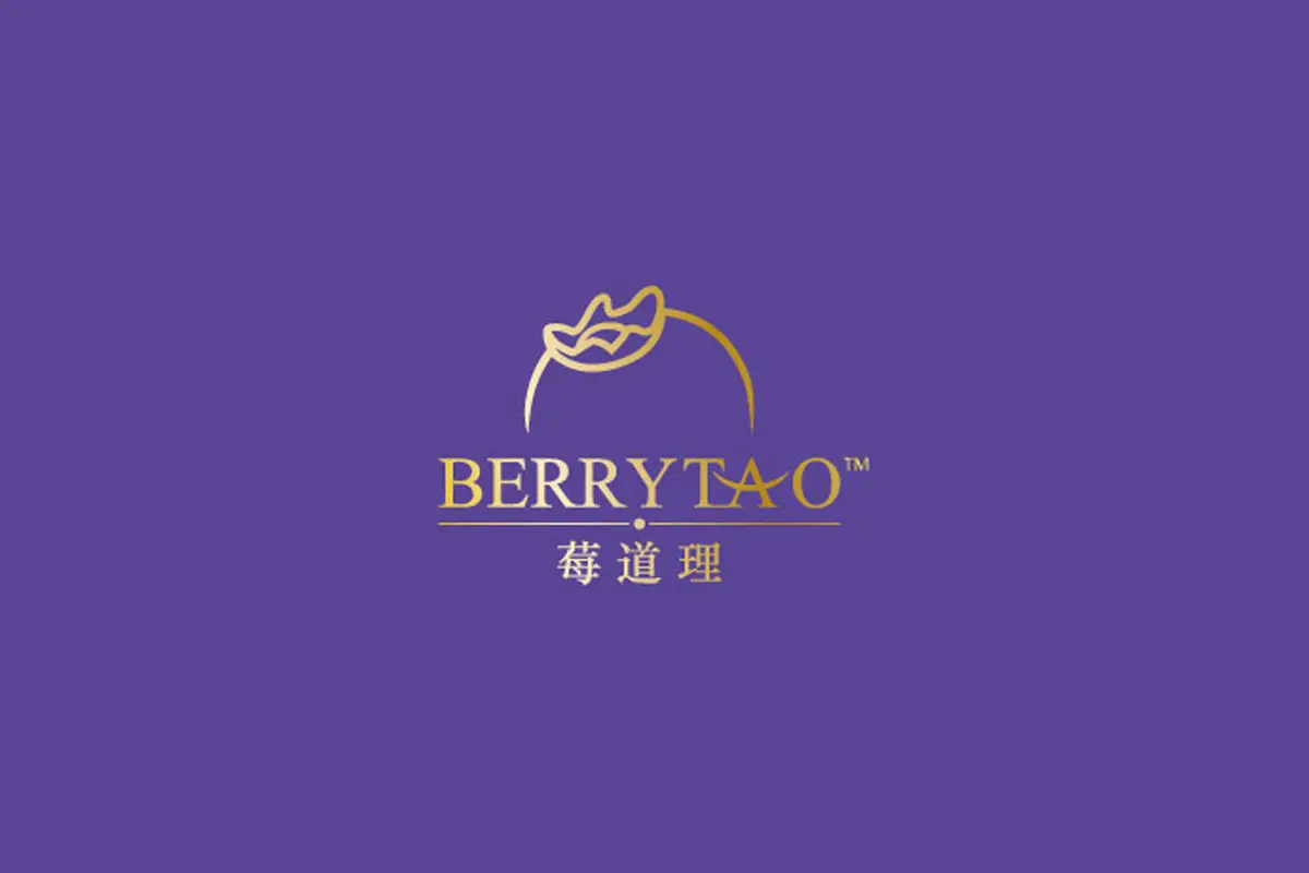 国际化logo设计理念