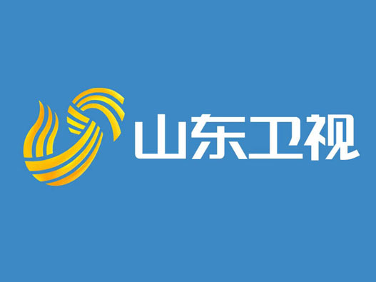 山东卫视logo设计含义及设计理念