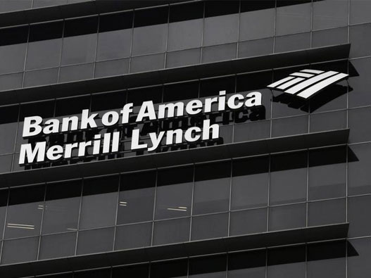 美国银行logo设计含义及设计理念