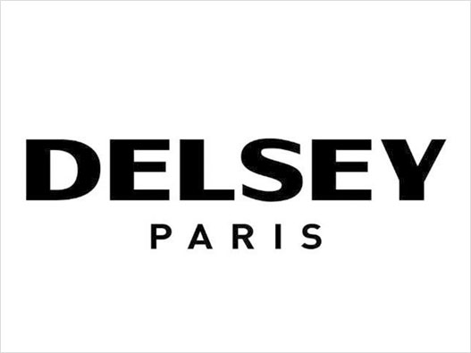 DELSEY大使logo