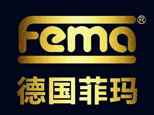 艺术漆LOGO设计-Fema菲玛品牌logo设计