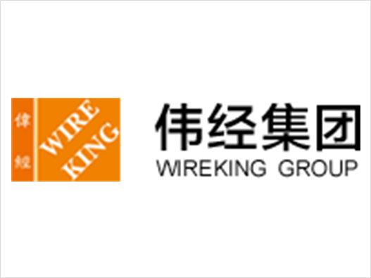 Wireking伟经logo