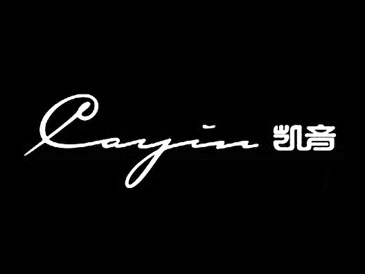Cayin凯音logo