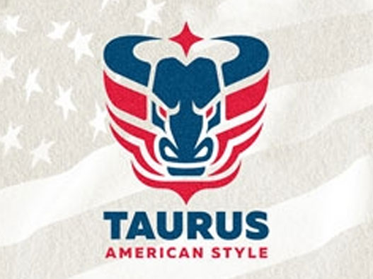 美国国旗logo设计理念