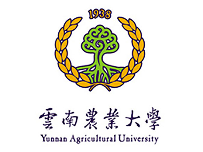 学院logo设计理念