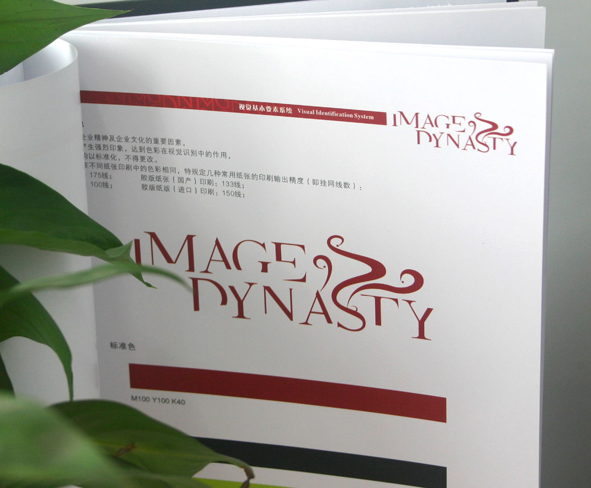 Image Dynasty缔国造型logo标准色设计