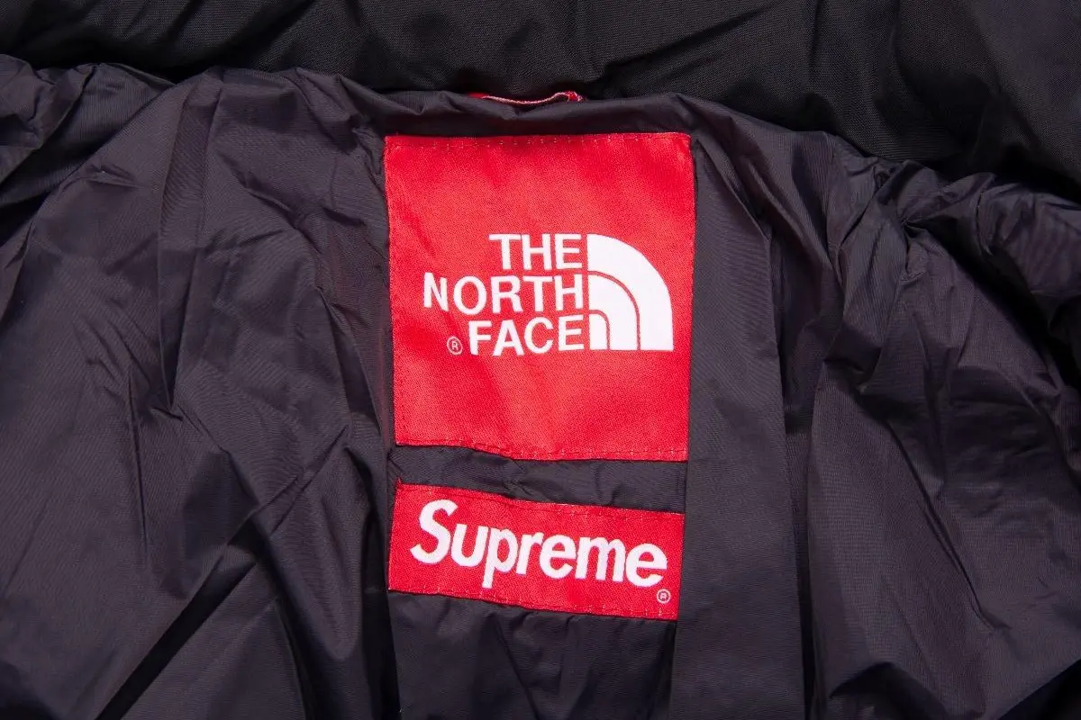 北面THE NORTH FACE标志logo图片-诗宸标志设计