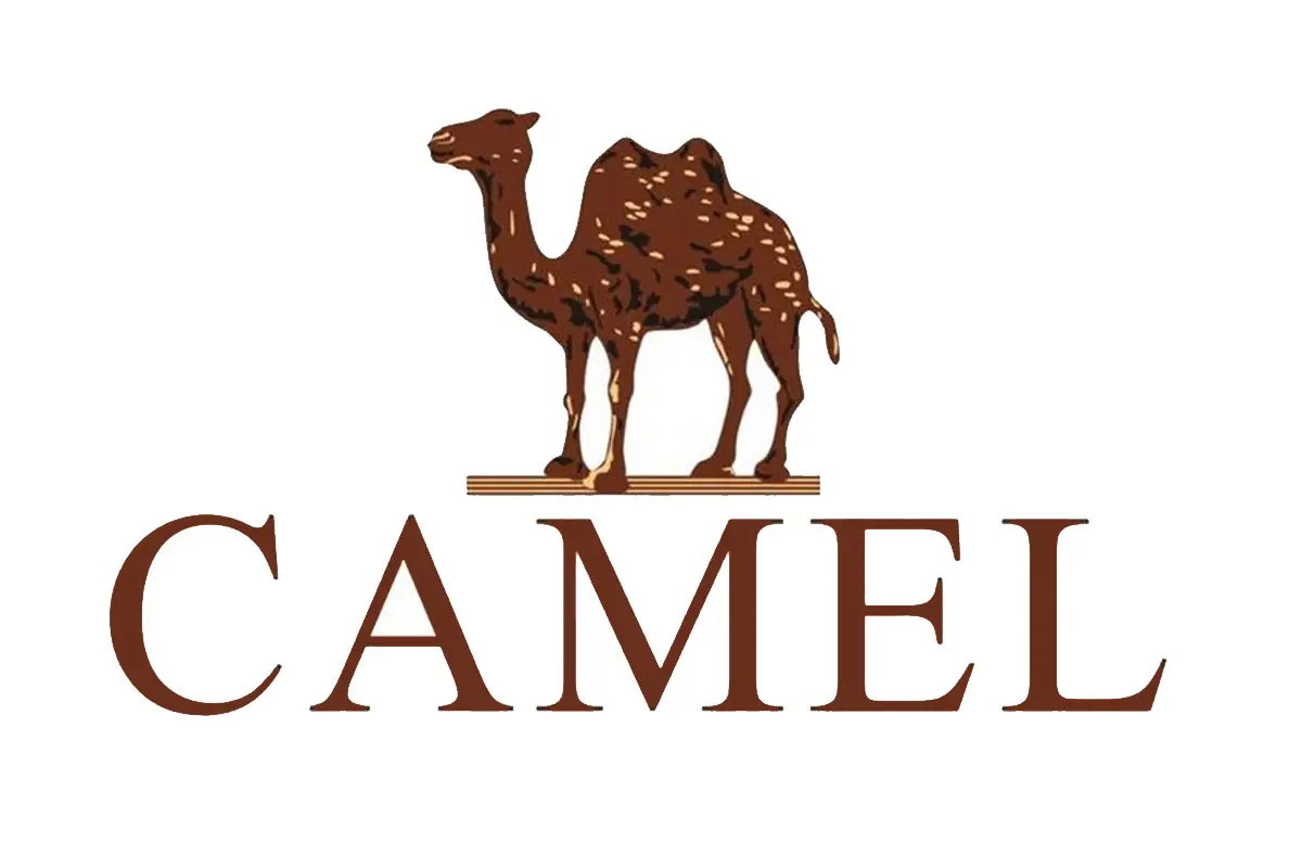 骆驼(CAMEL)