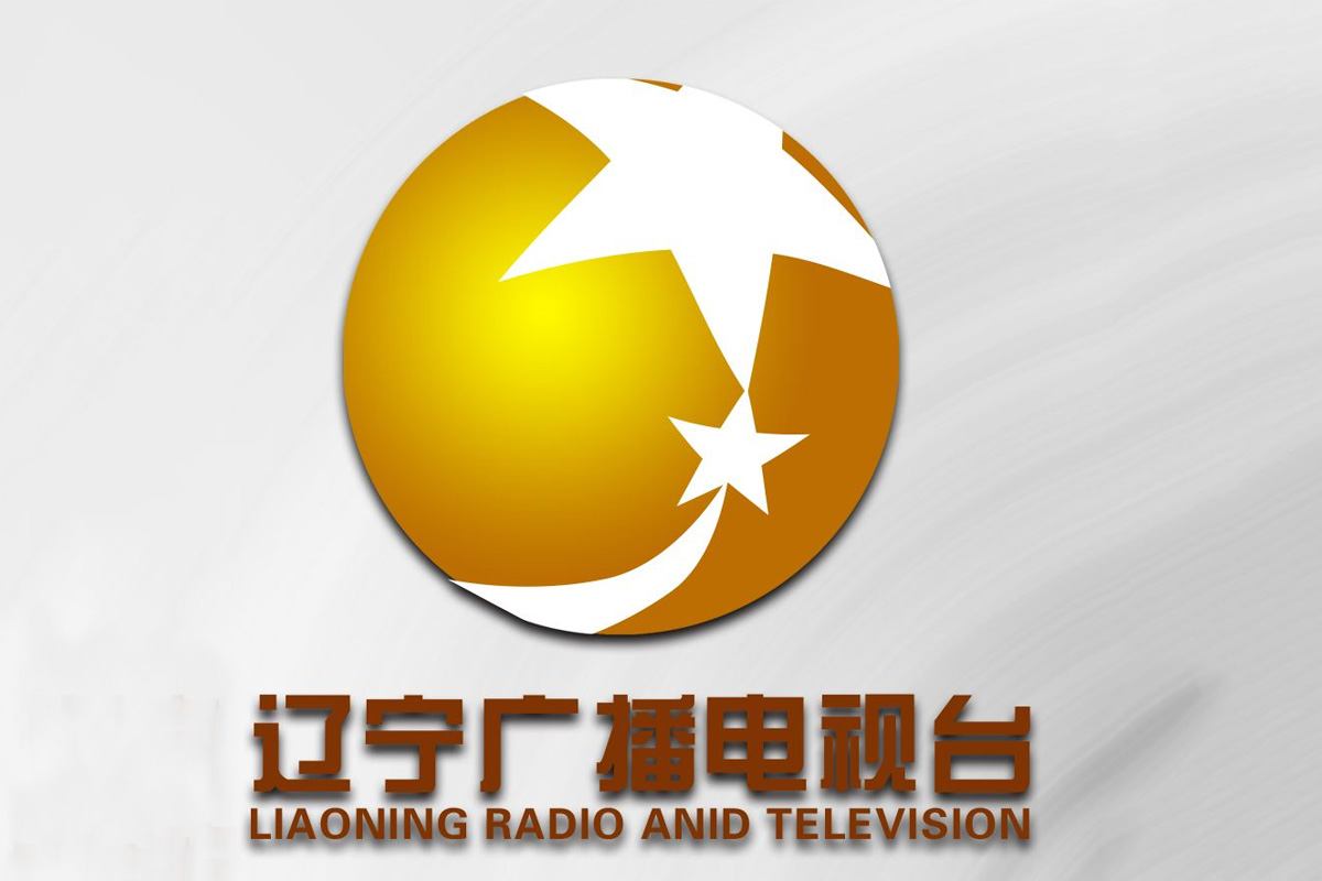 辽宁卫视台标志logo图片