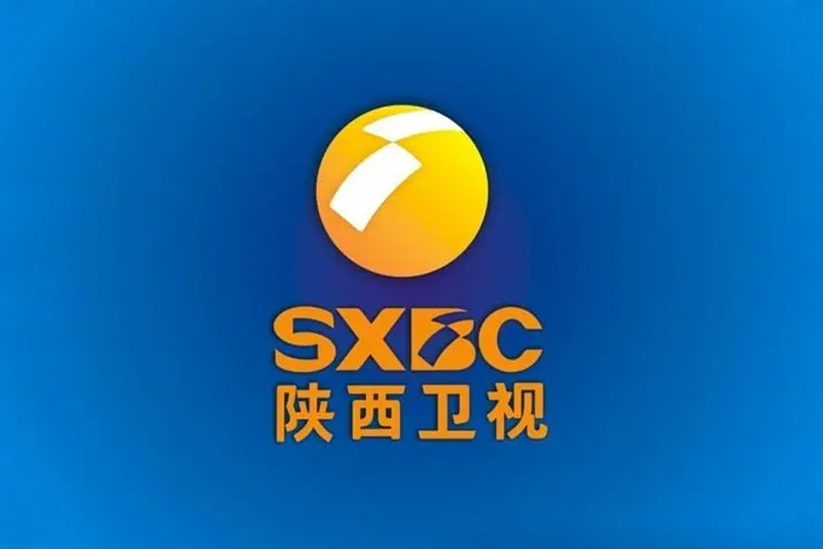 陕西卫视台标志logo图片