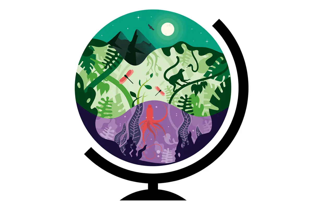 Fedrigoni自由生活视觉书籍