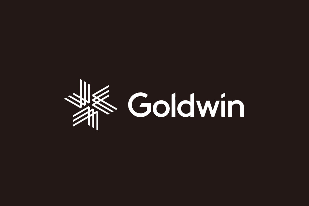 GOLDWIN高得运标志logo图片