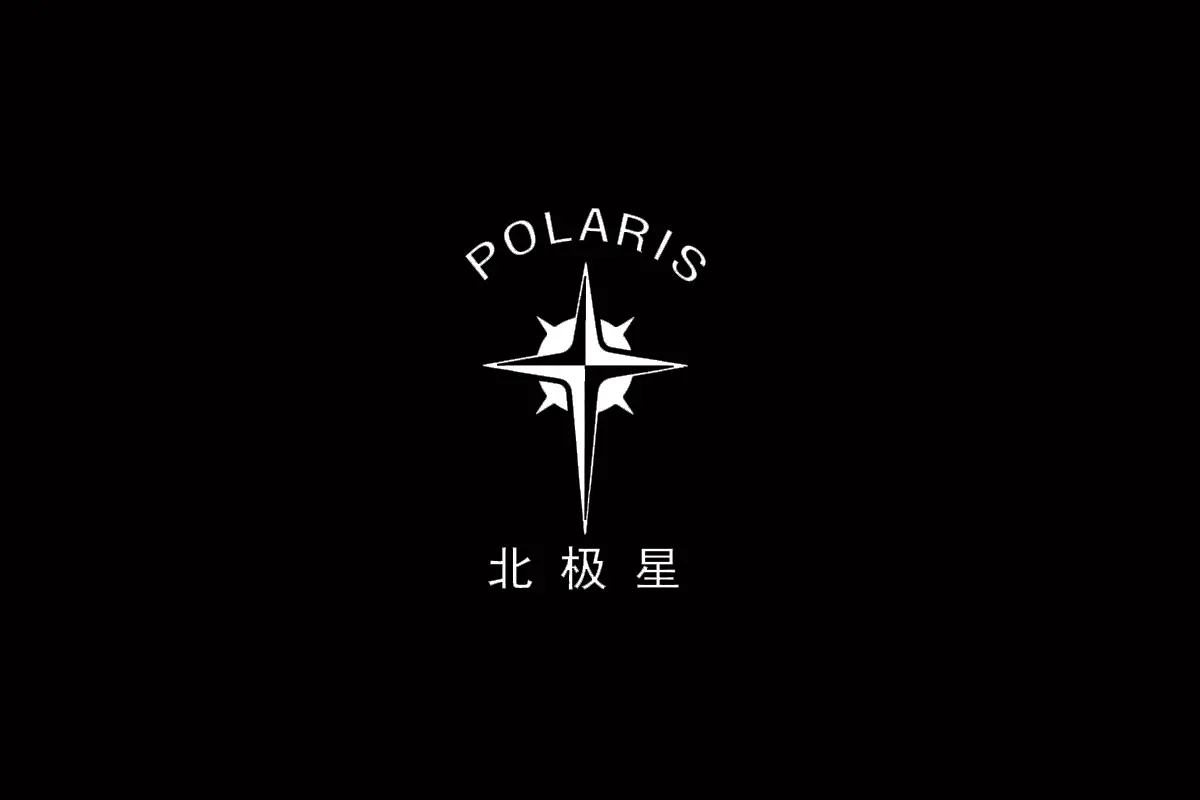 POLARIS北极星logo设计含义及设计理念 - logo9.net